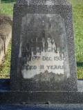 image of grave number 499586